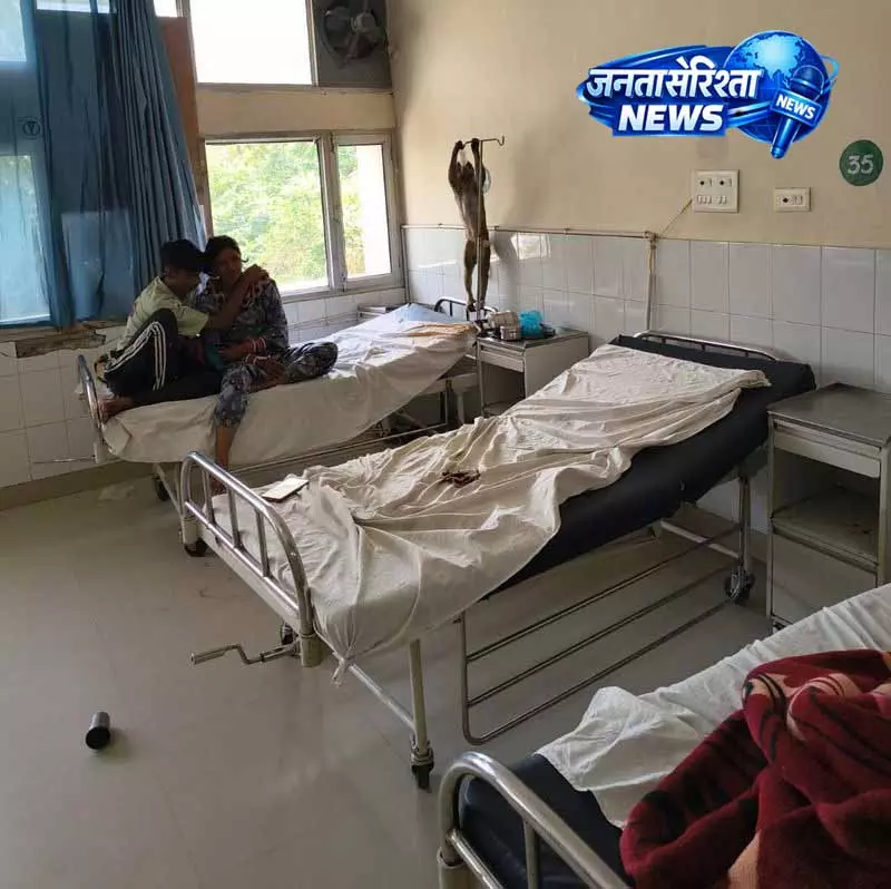 गुस्सैल बंदर ने Abohar के अस्पताल में मचाई अफरा-तफरी, पांच घायल गुस्सैल बंदर ने Abohar के अस्पताल में मचाई अफरा-तफरी, पांच घायल