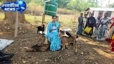 सरगुजा में ‘छेरी बैंक’ से महिलाओं को आत्मनिर्भरता की नई राह सरगुजा में ‘छेरी बैंक’ से महिलाओं को आत्मनिर्भरता की नई राह