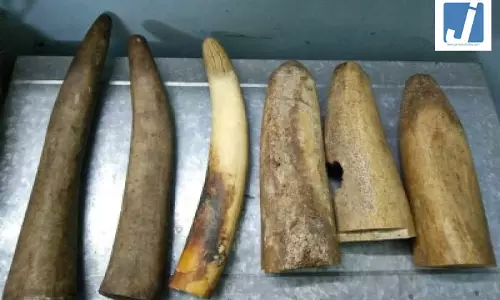 हाथी दांत को 3.5 करोड़ में बेचा, चार आरोपी गिरफ्तार