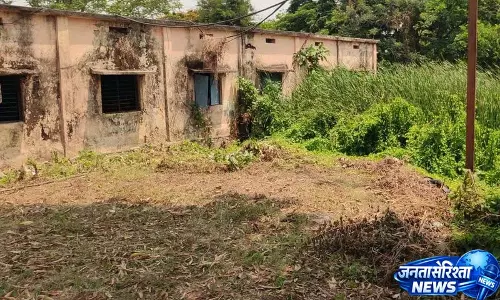 Gauthampur Substation सांपों का अड्डा बन गया, कर्मचारी चिंतित