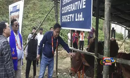 Arunachal: लोंगडिंग के किसानों को साहीवाल मवेशी वितरित किए गए Arunachal: लोंगडिंग के किसानों को साहीवाल मवेशी वितरित किए गए