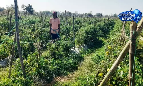 राष्ट्रीय कृषि विकास योजना से फायदा राष्ट्रीय कृषि विकास योजना से फायदा