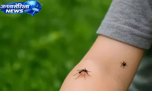 मच्छर इंसानों को कैसे पहचानते हैं और उन्हें काटते हैं Scientists की दिलचस्प रिसर्च