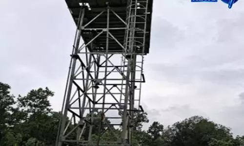 जल जीवन मिशन से बदला ग्राम सुहाई, हर घर तक पहुंचा साफ पानी जल जीवन मिशन से बदला ग्राम सुहाई, हर घर तक पहुंचा साफ पानी