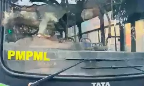 डिपो से चोरी हुई PMPML बस, रॉन्ग साइड दौड़ाकर मचाई अफरा-तफरी डिपो से चोरी हुई PMPML बस, रॉन्ग साइड दौड़ाकर मचाई अफरा-तफरी