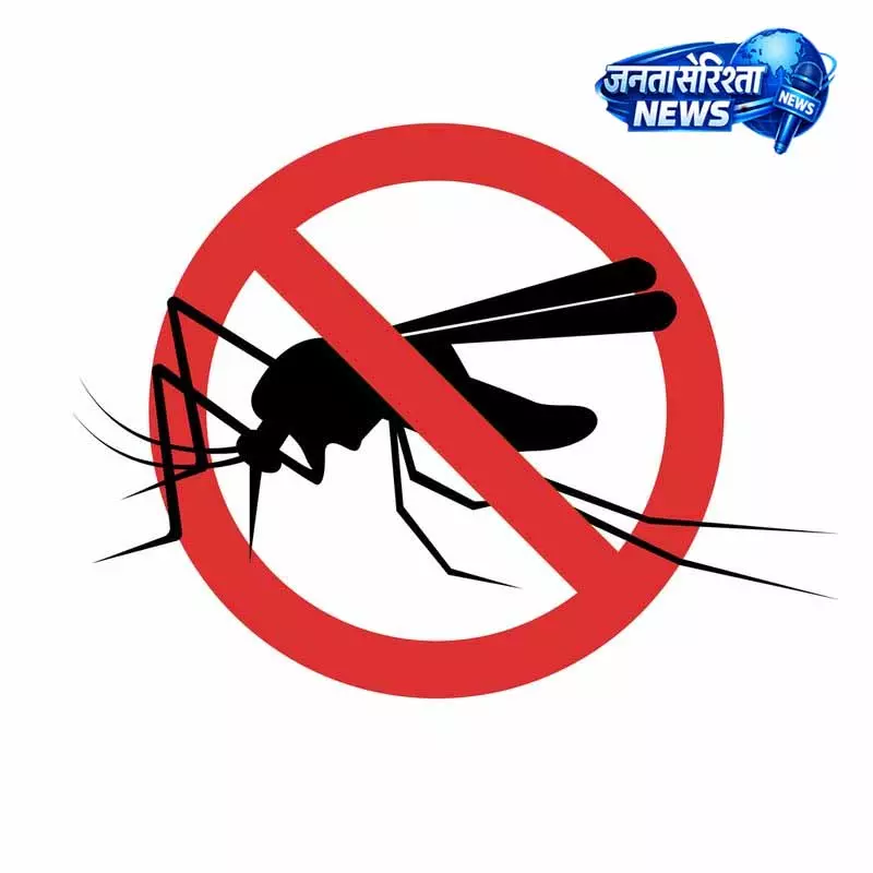 Jalandhar: मलेरिया, डेंगू और चिकनगुनिया से बचाव के लिए स्वास्थ्य विभाग की चेतावनी Jalandhar: मलेरिया, डेंगू और चिकनगुनिया से बचाव के लिए स्वास्थ्य विभाग की चेतावनी