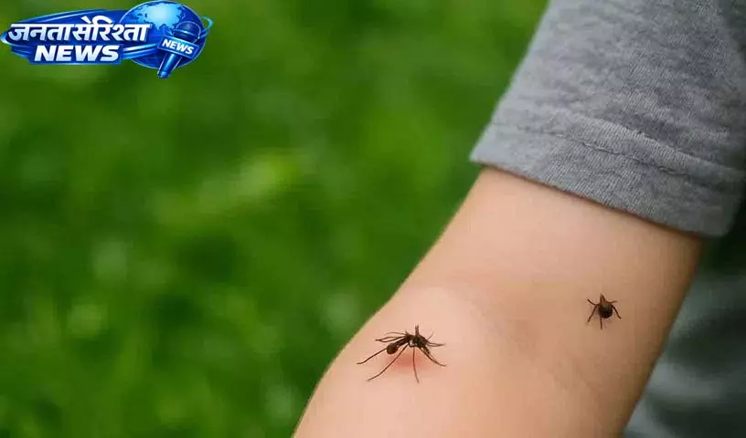 मच्छर इंसानों को कैसे पहचानते हैं और उन्हें काटते हैं Scientists की दिलचस्प रिसर्च मच्छर इंसानों को कैसे पहचानते हैं और उन्हें काटते हैं Scientists की दिलचस्प रिसर्च