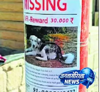 Himachal में जर्मन महिला का पालतू जानवर खोजने का अभियान जारी Himachal में जर्मन महिला का पालतू जानवर खोजने का अभियान जारी