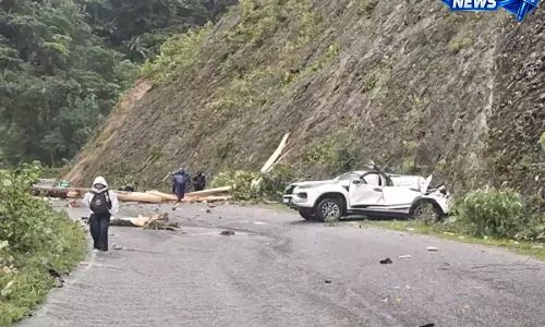 ITANAGAR: पेड़ गिरने की दो घटनाएं, PWD इंजीनियर की मौत, तीन लोग घायल ITANAGAR: पेड़ गिरने की दो घटनाएं, PWD इंजीनियर की मौत, तीन लोग घायल