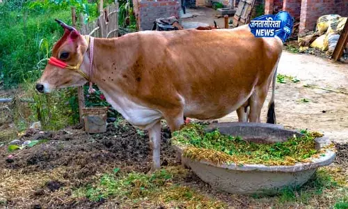 गंगवा ने Hisar गांव की गौशालाओं को 84.41 लाख रुपये के चेक बांटे