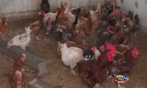 Udhampur के पोल्ट्री फ़ार्मों ने लू के बीच एहतियाती कदम उठाए