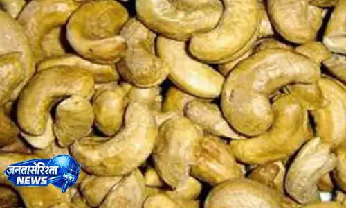 ईरान युद्ध से Palasa काजू उद्योग पर संकट ईरान युद्ध से Palasa काजू उद्योग पर संकट