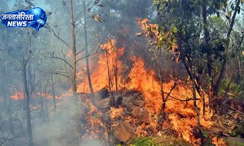 Tirupati के सेशाचलम जंगल में आग, क्षेत्र में चिंता बढ़ी Tirupati के सेशाचलम जंगल में आग, क्षेत्र में चिंता बढ़ी