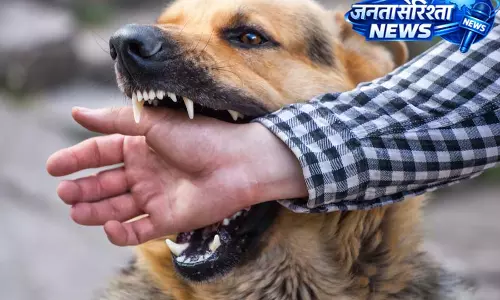मासूम पर कुत्ते का हमला, गंभीर रूप से घायल बच्चा अस्पताल में भर्ती