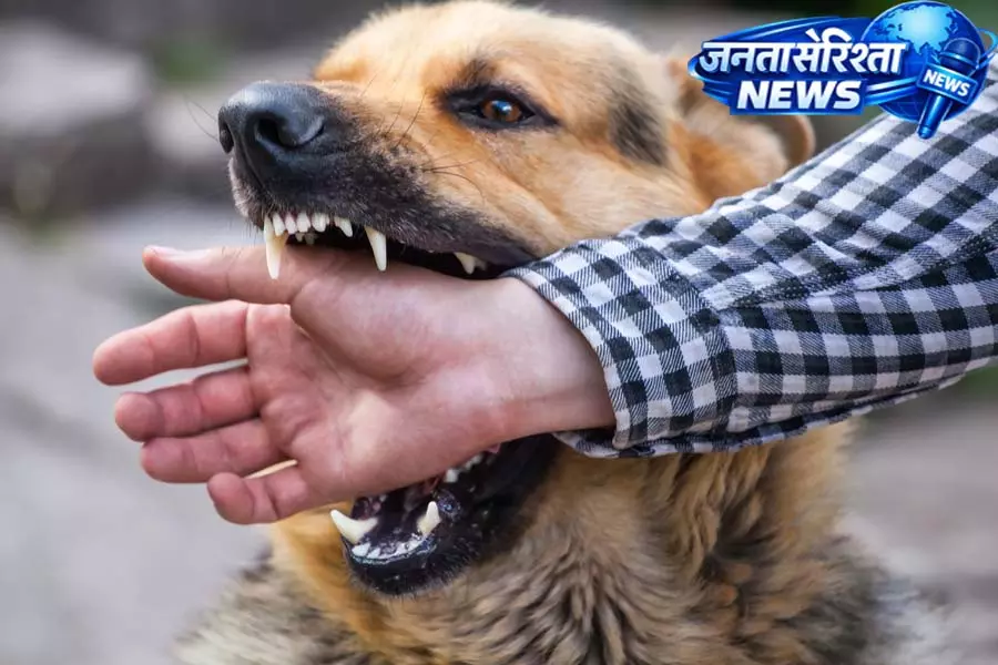 मासूम पर कुत्ते का हमला, गंभीर रूप से घायल बच्चा अस्पताल में भर्ती मासूम पर कुत्ते का हमला, गंभीर रूप से घायल बच्चा अस्पताल में भर्ती