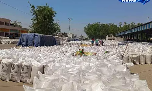 Yamuna Nagar जिले की अनाज मंडी में धीमी गति से वजन उठाने से ग्लूट में दिक्कत