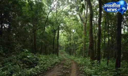 Telangana: वन अधिकारियों ने आदिलाबाद में 1,000 एकड़ ज़मीन पर कब्ज़ा किया Telangana: वन अधिकारियों ने आदिलाबाद में 1,000 एकड़ ज़मीन पर कब्ज़ा किया