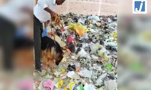OMG! बच्ची का शव कंबल में लिपटा हुआ मिला, पुलिस के डॉग की मदद से सुलझी ब्लाइंड मर्डर मिस्ट्री OMG! बच्ची का शव कंबल में लिपटा हुआ मिला, पुलिस के डॉग की मदद से सुलझी ब्लाइंड मर्डर मिस्ट्री