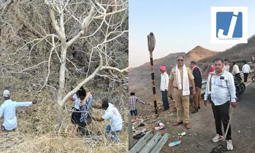 दो ट्रेलर की टक्कर में ड्राइवर की मौत...इधर एक पेड़ ने बचाई चार लोगों की जान दो ट्रेलर की टक्कर में ड्राइवर की मौत...इधर एक पेड़ ने बचाई चार लोगों की जान