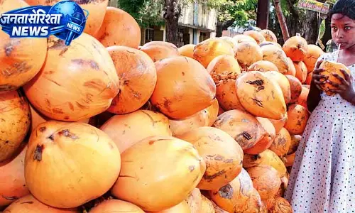 Tamil Nadu में नारियल पानी महंगा, गर्मी में राहत की कीमत बढ़ी Tamil Nadu में नारियल पानी महंगा, गर्मी में राहत की कीमत बढ़ी