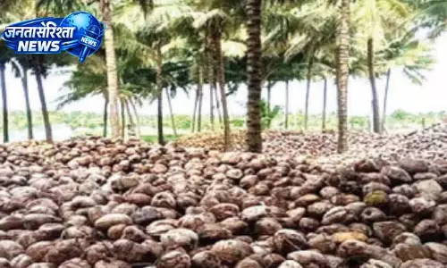 Tamil Nadu: समुद्री संकट के कारण पोलाची का नारियल एक्सपोर्ट ठप, कीमतें बढ़ीं