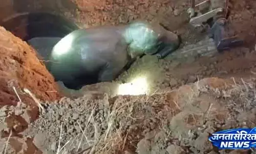 Chhendipada घंटों की मशक्कत के बाद जंबो बछड़ा कुएं से सुरक्षित निकाला