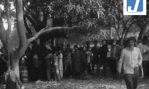 पूरा परिवार शादी की खुशियों में डूबा हुआ था इधर दूल्हे की पेड़ से लटकती लाश मिली पूरा परिवार शादी की खुशियों में डूबा हुआ था इधर दूल्हे की पेड़ से लटकती लाश मिली