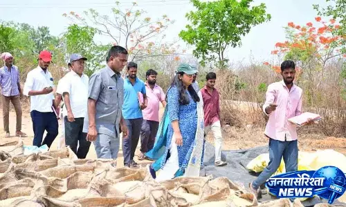 अनाज खरीद प्रक्रिया में तेजी, लगातार निगरानी जरूरी: Collector प्रतिमा सिंह