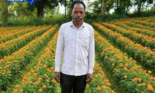फूलों की खुशबू से बदली किसान की किस्मत, एनएचएम योजना से बढ़ी आमदनी फूलों की खुशबू से बदली किसान की किस्मत, एनएचएम योजना से बढ़ी आमदनी