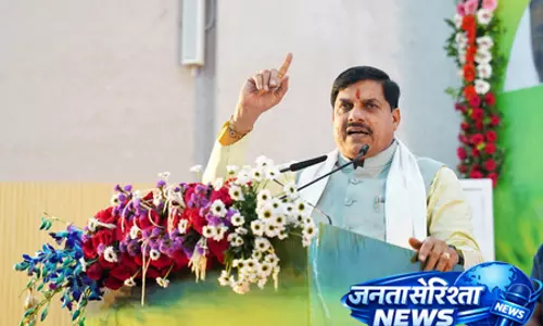 मध्य प्रदेश में अब जंगली भैंस के पुनर्स्थापन की तैयारी मध्य प्रदेश में अब जंगली भैंस के पुनर्स्थापन की तैयारी
