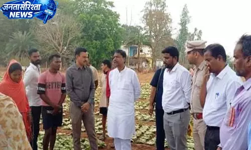 वन मंत्री ने तेंदूपत्ता फड़ दहिकोंगा का किया औचक निरीक्षण, तेंदूपत्ता संग्राहकों से किया संवाद