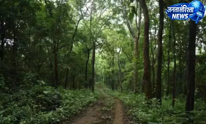 Telangana: वन अधिकारियों ने आदिलाबाद में 1,000 एकड़ ज़मीन पर कब्ज़ा किया Telangana: वन अधिकारियों ने आदिलाबाद में 1,000 एकड़ ज़मीन पर कब्ज़ा किया