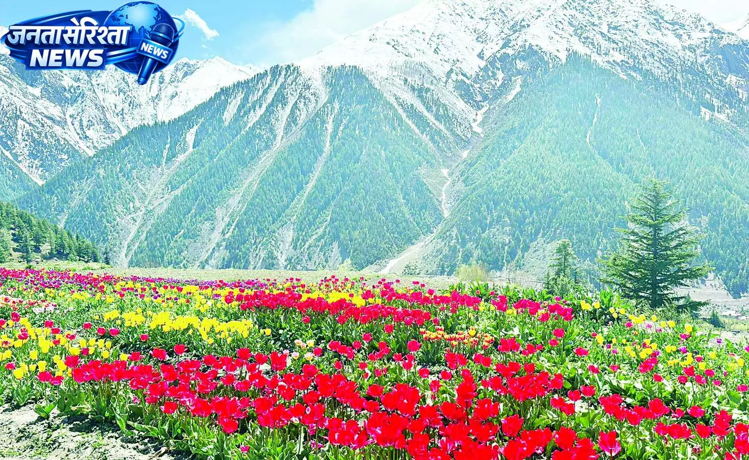 आईएचबीटी के वैज्ञानिकों की तीन साल की मेहनत लाई रंग आईएचबीटी के वैज्ञानिकों की तीन साल की मेहनत लाई रंग