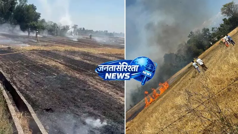 सिद्धाथा में भीषण आग, तूड़ी सहित जल गई गेहूं की खड़ी फसल सिद्धाथा में भीषण आग, तूड़ी सहित जल गई गेहूं की खड़ी फसल