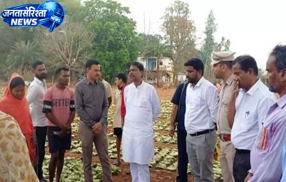 वन मंत्री ने तेंदूपत्ता फड़ दहिकोंगा का किया औचक निरीक्षण, तेंदूपत्ता संग्राहकों से किया संवाद वन मंत्री ने तेंदूपत्ता फड़ दहिकोंगा का किया औचक निरीक्षण, तेंदूपत्ता संग्राहकों से किया संवाद