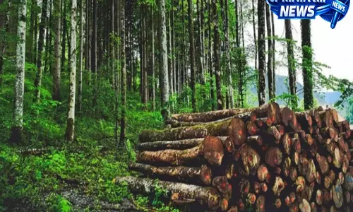 Assam: कार्बी आंगलोंग में 2001-2020 के बीच 97,000 हेक्टेयर से अधिक जंगल खत्म Assam: कार्बी आंगलोंग में 2001-2020 के बीच 97,000 हेक्टेयर से अधिक जंगल खत्म