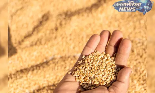 इंदौर में MSP पर गेहूं खरीद तेज, 23 हजार से ज्यादा किसानों ने स्लॉट बुक किए इंदौर में MSP पर गेहूं खरीद तेज, 23 हजार से ज्यादा किसानों ने स्लॉट बुक किए