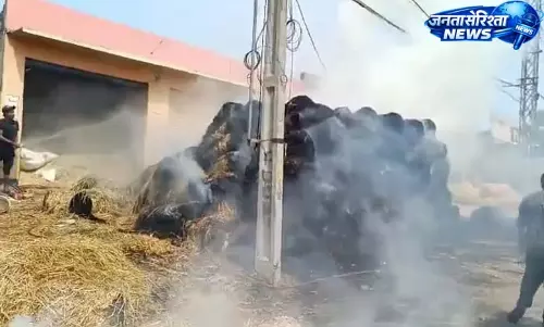 Hyderabad: शाहीन नगर में बकरीद के लिए रखी सूखी घास में आग लग गई Hyderabad: शाहीन नगर में बकरीद के लिए रखी सूखी घास में आग लग गई