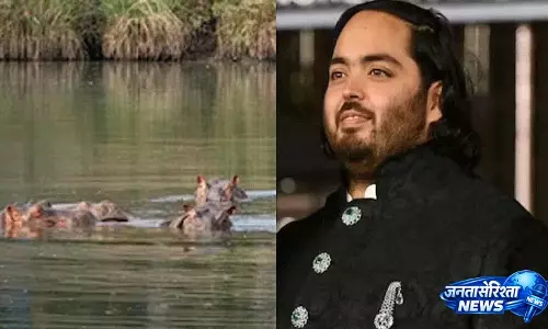 Anant Ambani का कोलंबियाई सरकार से अनुरोध Anant Ambani का कोलंबियाई सरकार से अनुरोध