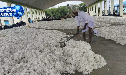 Textile सेक्टर को राहत देने के लिए कॉटन इंपोर्ट ड्यूटी घटाने पर विचार