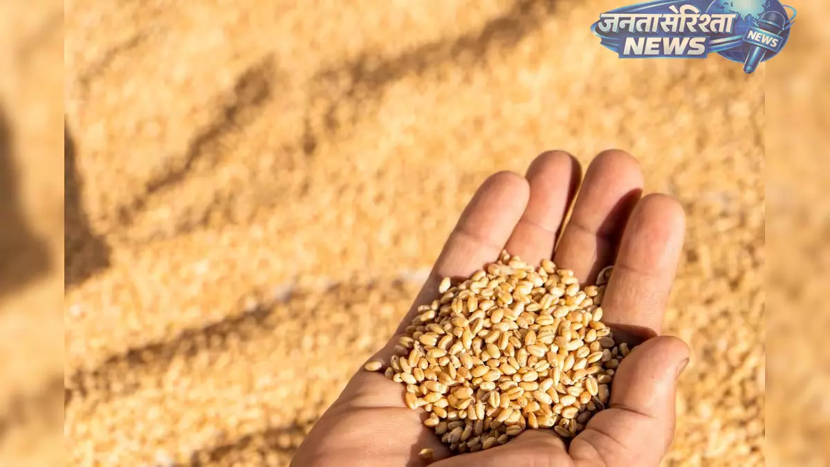इंदौर में MSP पर गेहूं खरीद तेज, 23 हजार से ज्यादा किसानों ने स्लॉट बुक किए इंदौर में MSP पर गेहूं खरीद तेज, 23 हजार से ज्यादा किसानों ने स्लॉट बुक किए