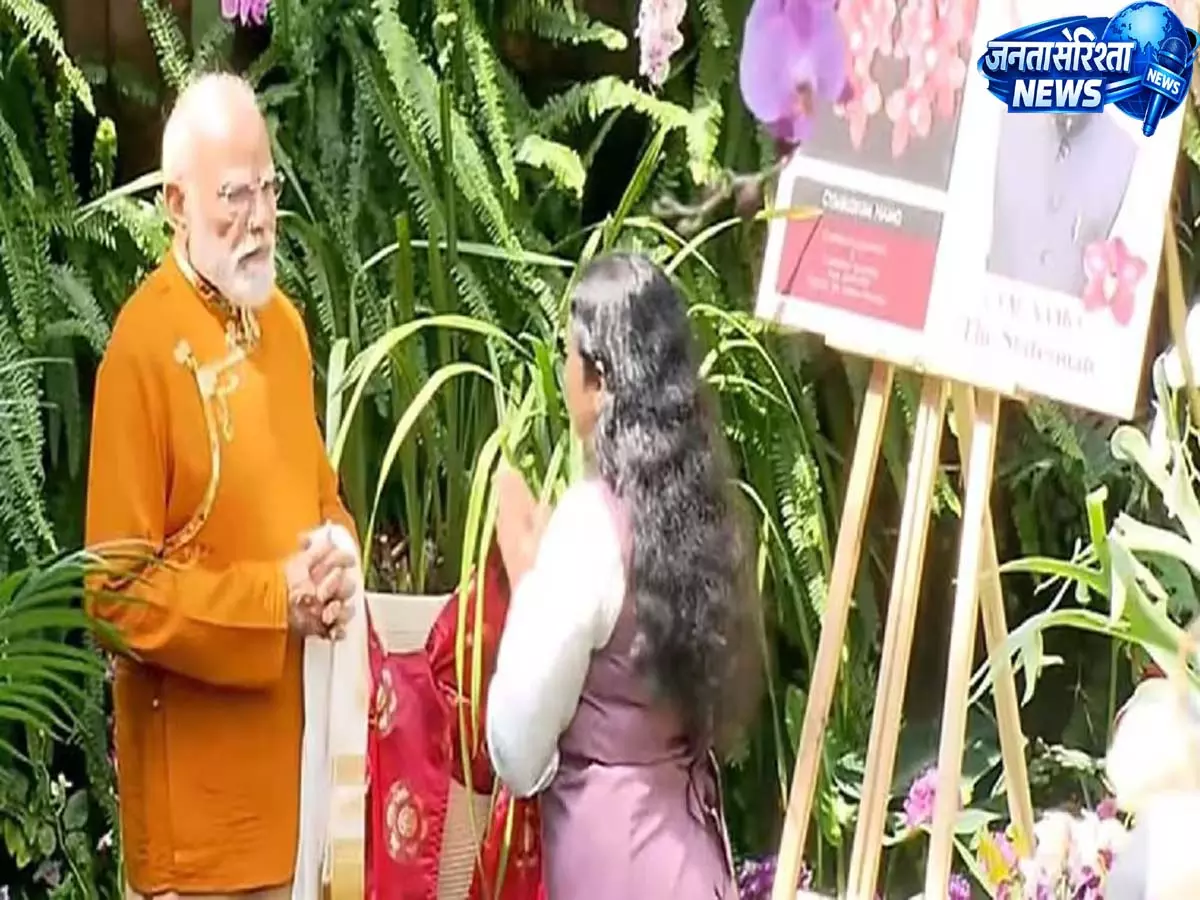 पीएम मोदी ने गंगटोक में ऑर्किडेरियम का दौरा, सिक्किम की जैव विविधता और फूलों की संपदा पर डाला प्रकाश पीएम मोदी ने गंगटोक में ऑर्किडेरियम का दौरा, सिक्किम की जैव विविधता और फूलों की संपदा पर डाला प्रकाश