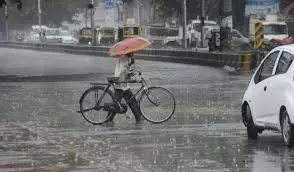 Jalandhar: बादलों की आवाजाही, बारिश का सिलसिला जारी Jalandhar: बादलों की आवाजाही, बारिश का सिलसिला जारी
