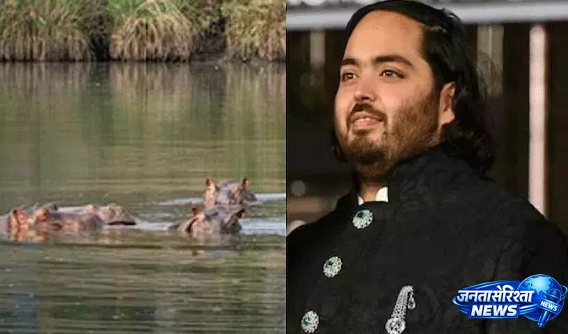 Anant Ambani का कोलंबियाई सरकार से अनुरोध Anant Ambani का कोलंबियाई सरकार से अनुरोध