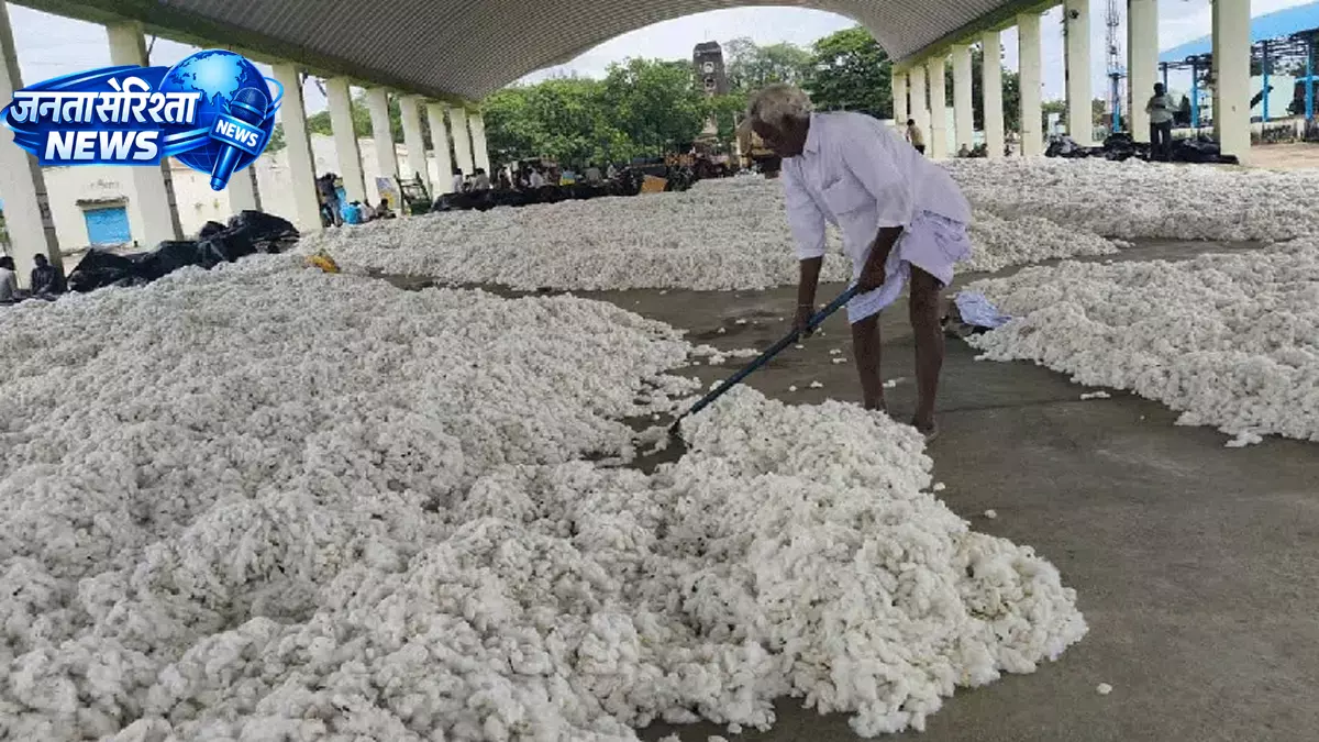 Textile सेक्टर को राहत देने के लिए कॉटन इंपोर्ट ड्यूटी घटाने पर विचार Textile सेक्टर को राहत देने के लिए कॉटन इंपोर्ट ड्यूटी घटाने पर विचार