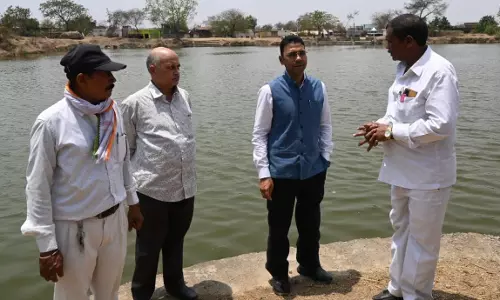 नहरों के पानी से लबालब हुए 450 तालाब, जिले में जलसंकट से राहत