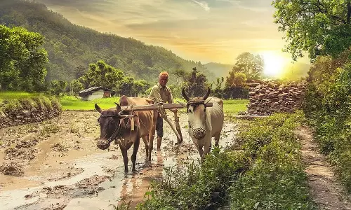 Karnataka : सेंटर फॉर एग्रीकल्चर एंड एलाइड लॉज़ की वेबसाइट लॉन्च की गई Karnataka : सेंटर फॉर एग्रीकल्चर एंड एलाइड लॉज़ की वेबसाइट लॉन्च की गई