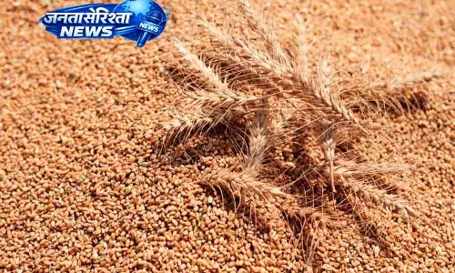 Karnal अनाज मंडियों में यूपी से गेहूं की आवक की जांच के आदेश