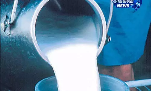 मिल्कफेड Punjab ने दूध खरीद मूल्य बढ़ाया