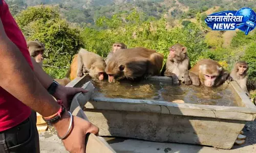 NGO ने जानवरों के लिए ‘जल सेवा’ अभियान का विस्तार किया